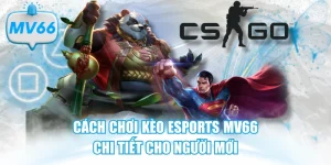 Cách Chơi Kèo Esports
